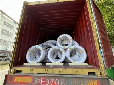 Loading Steel Hlau Rau Brazilian Cov Neeg Siv Khoom